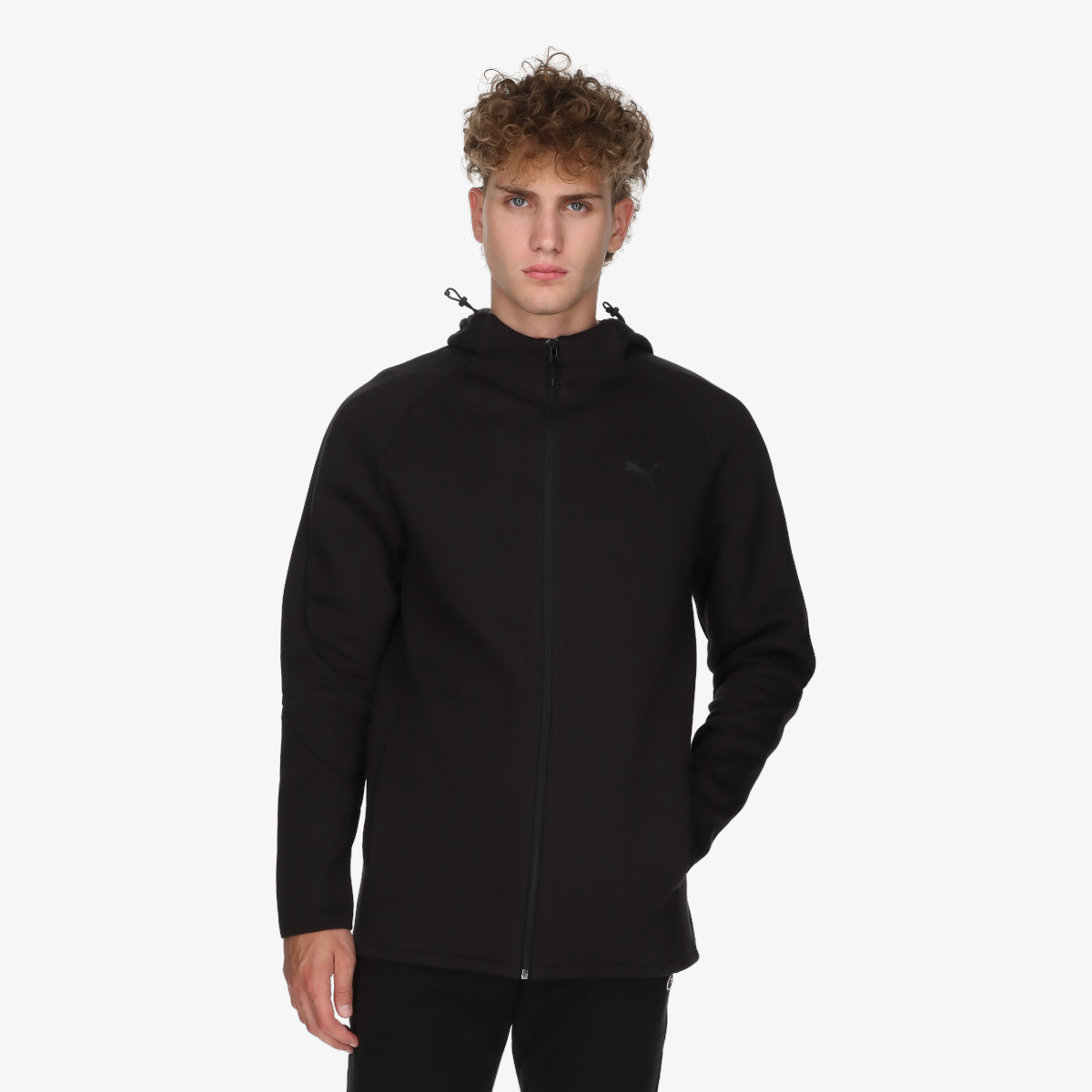 Puma PUMA EVOSTRIPE Core FZ Hoodie | Sport Reality