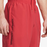 Under Armour UA Woven Wdmk Shorts 