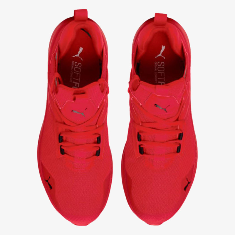 Enzo 2 Refresh 
