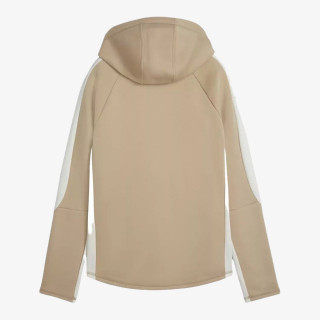 Puma PUMA EVOSTRIPE FZ Hoodie 