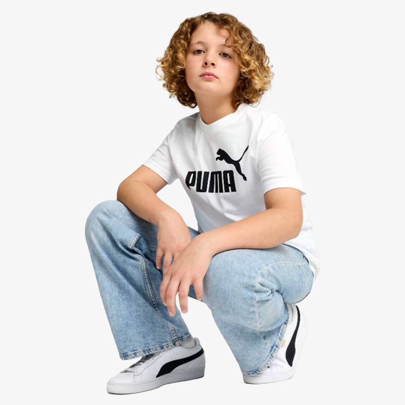 Puma ESS No. 1 