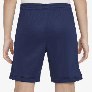 Nike Y NK DF ACD25 SHORT K 