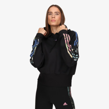 Adidas W AOP HD 