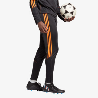 Adidas TIRO23 CB TRPNT 