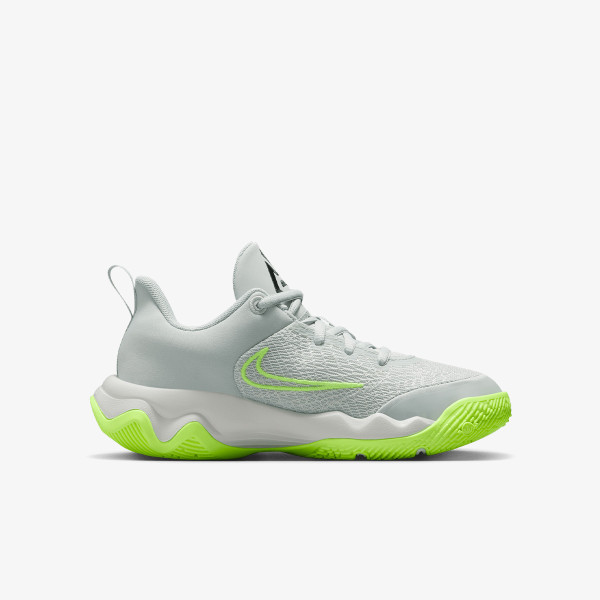 Nike GIANNIS IMMORTALITY 4 GS 