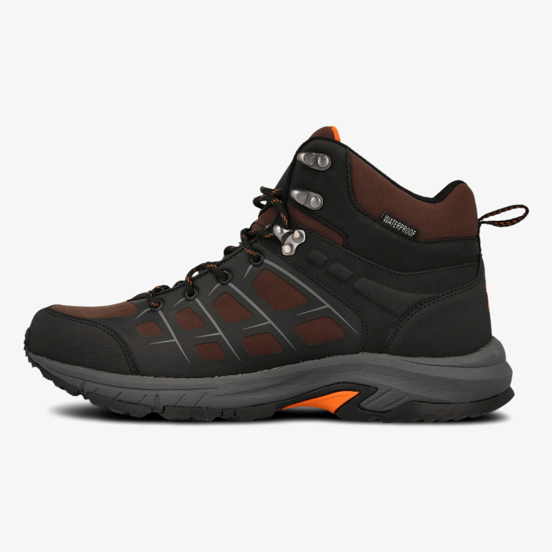 Kander Spider | Sport Reality