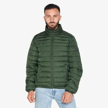 LOTTO Bomber Cortina 