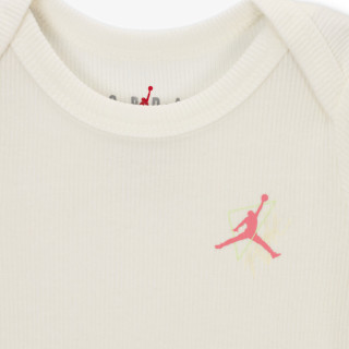 Nike Jordan Jumpman Take Flight 