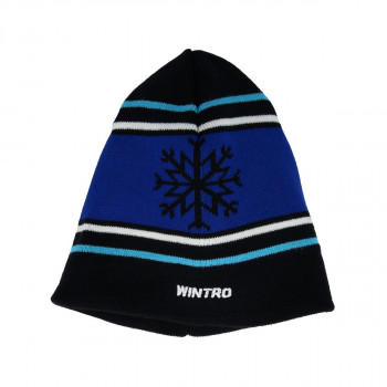 Wintro FUZE BENIE 